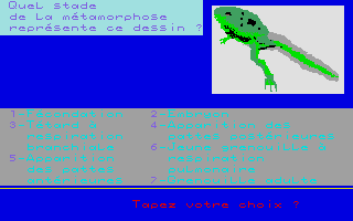 Thumbnail of other screenshot of À La Découverte De La Vie