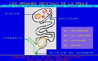 Thumbnail of other screenshot of À La Découverte De La Vie
