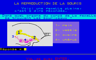 Thumbnail of other screenshot of À La Découverte De La Vie