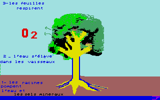 Thumbnail of other screenshot of À La Découverte De La Vie