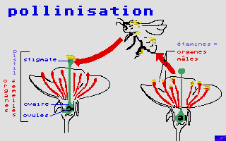 Thumbnail of other screenshot of À La Découverte De La Vie