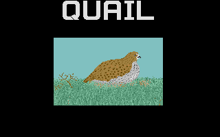 Thumbnail of other screenshot of ABZoo