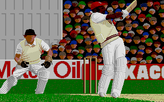 Thumbnail of other screenshot of Championship Cricket