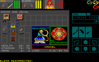 Thumbnail of other screenshot of Dungeon Master - Conan and The Mountain of Tor Al'Kiir