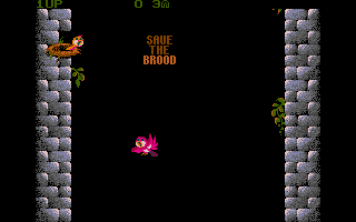 Thumbnail of other screenshot of Fly Robin Fly
