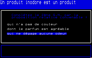 Thumbnail of other screenshot of Grammaire - Langue Française  Collèges 5e