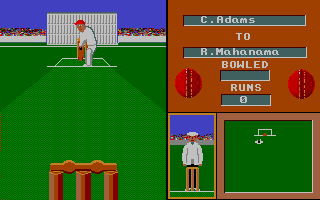 Thumbnail of other screenshot of International Cricket 2