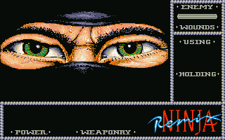 Thumbnail of other screenshot of Ninja Remix