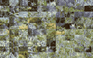 Thumbnail of other screenshot of Pushago