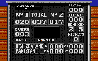 Thumbnail of other screenshot of World Cricket