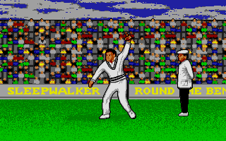 Thumbnail of other screenshot of World Cricket