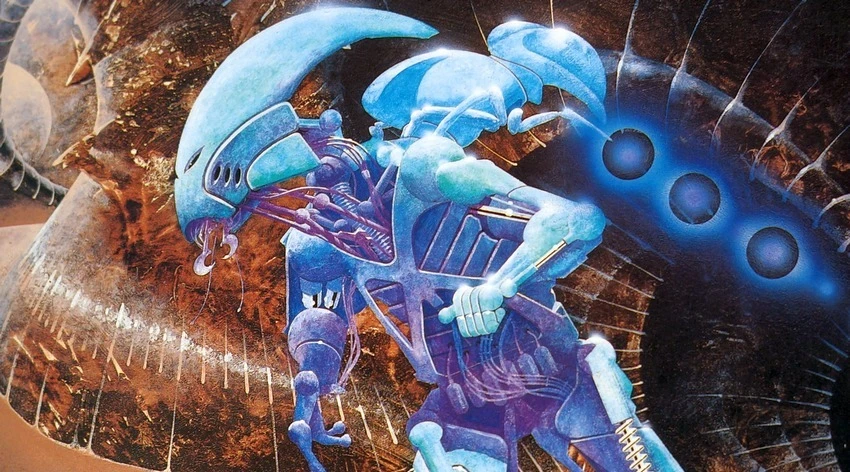 Large carousel image