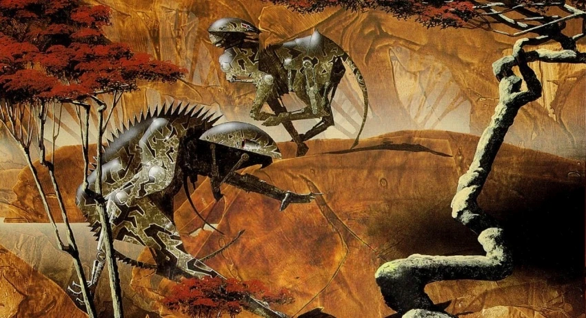 Large carousel image